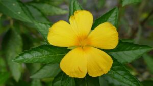 G9b639d25f713ea0f12b7092bbdc7f80da318ea86c9f43d830a184b588d3e54521665386085442506141a862b875ea38c4994d4d9547aa303375932b25907abd9 640